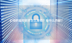 公司的监控软件怎么查看？有什么功能？