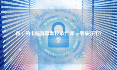 员工的电脑屏幕监控软件哪一家最好用？