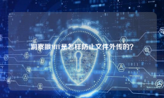 洞察眼MIT是怎样防止文件外传的？