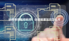 远程查看监控软件，远程屏幕监控怎么样