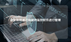 企业如何通过局域网监控软件进行管理