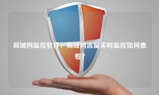 局域网监控软件：局域网流量实时监控如何查看？