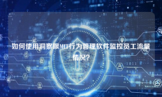 如何使用洞察眼MIT行为管理软件监控员工流量情况？