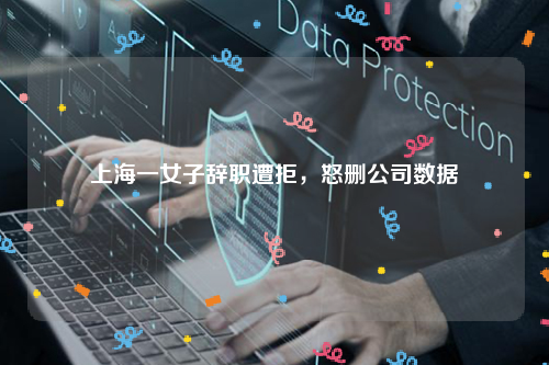 上海一女子辞职遭拒，怒删公司数据