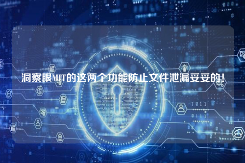 洞察眼MIT的这两个功能防止文件泄漏妥妥的！